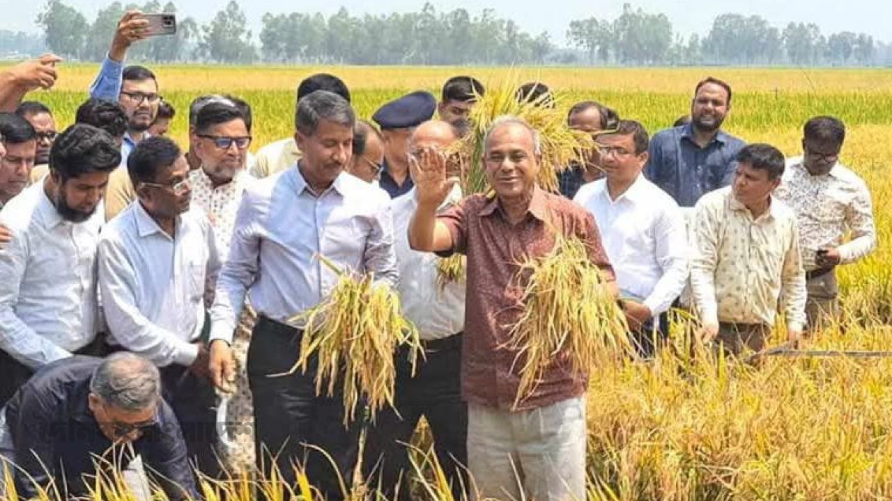 দেশে ১০০ মিনি হিমাগার তৈরি করা হবে-স্বরাষ্ট্র ও কৃষি উপদেষ্টা মোঃ জাহাঙ্গীর আলম চৌধুরী