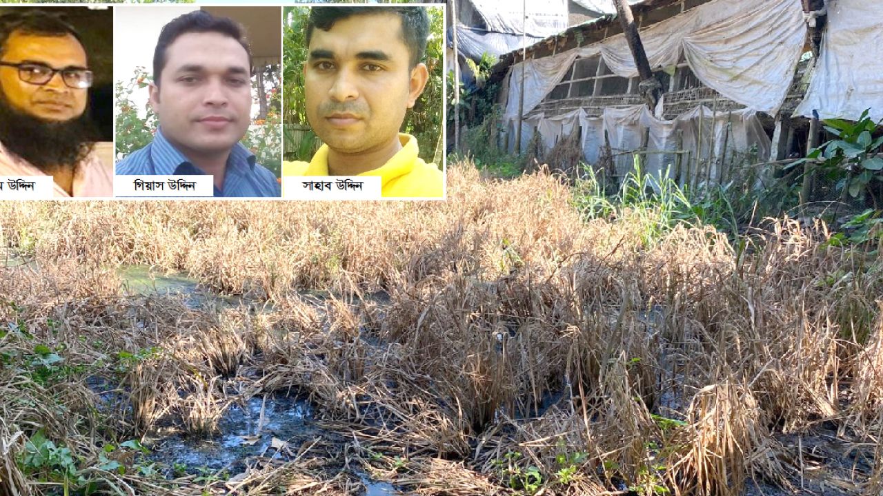 পোল্ট্রি খামারের দূষিত বর্জ্যে কৃষকের ৪০ শতক জমি ধ্বংস, দুর্গন্ধে অতিষ্ঠ এলাকাবাসী