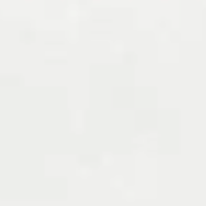 শাহিন আলম 